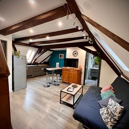 Gite Du Figuier 4 A 6 Personnes Selestat Centre-Alsace Exterior foto