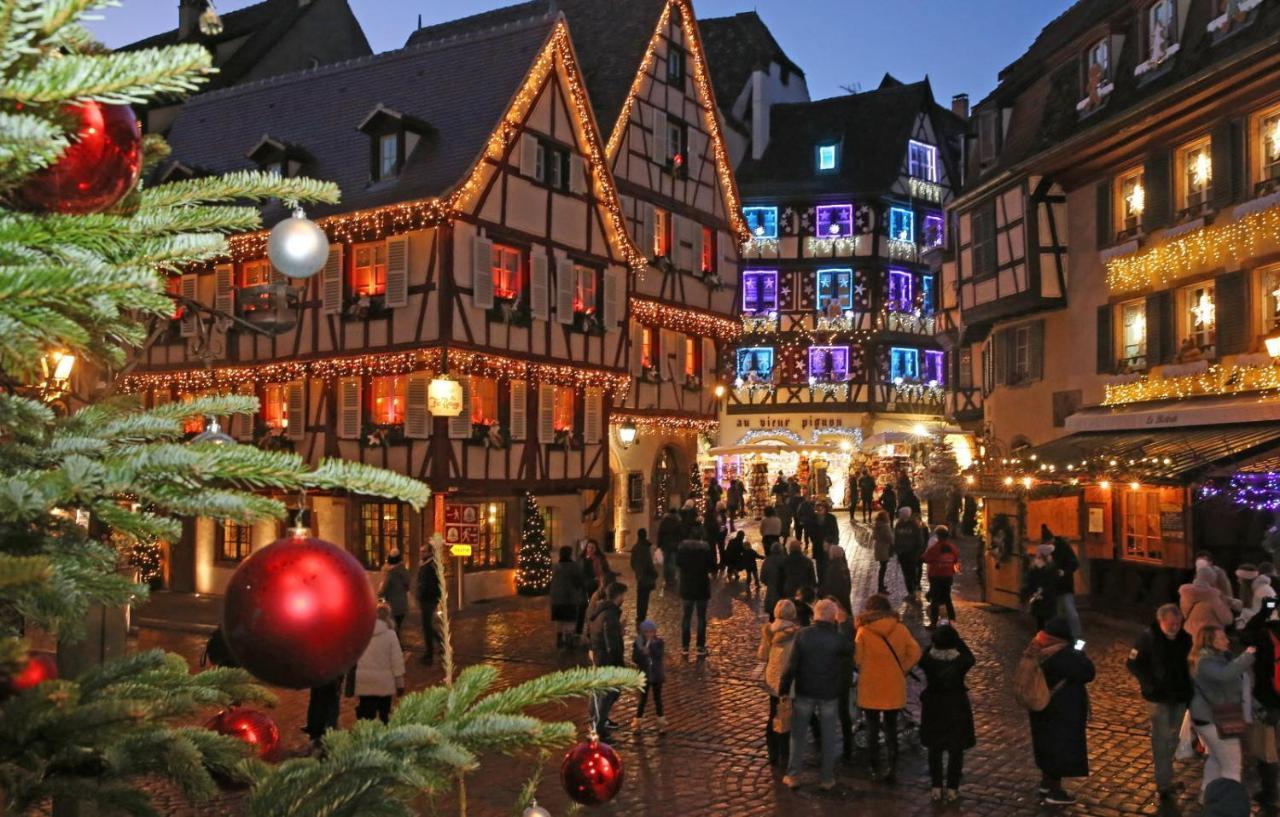 Gite Du Figuier 4 A 6 Personnes Selestat Centre-Alsace Exterior foto