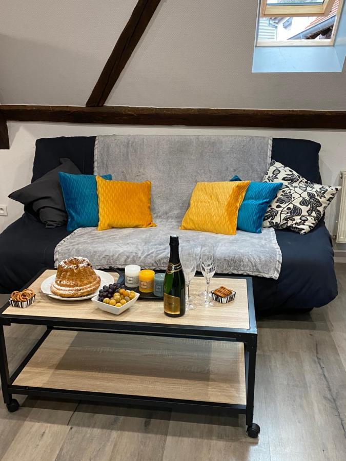 Gite Du Figuier 4 A 6 Personnes Selestat Centre-Alsace Exterior foto