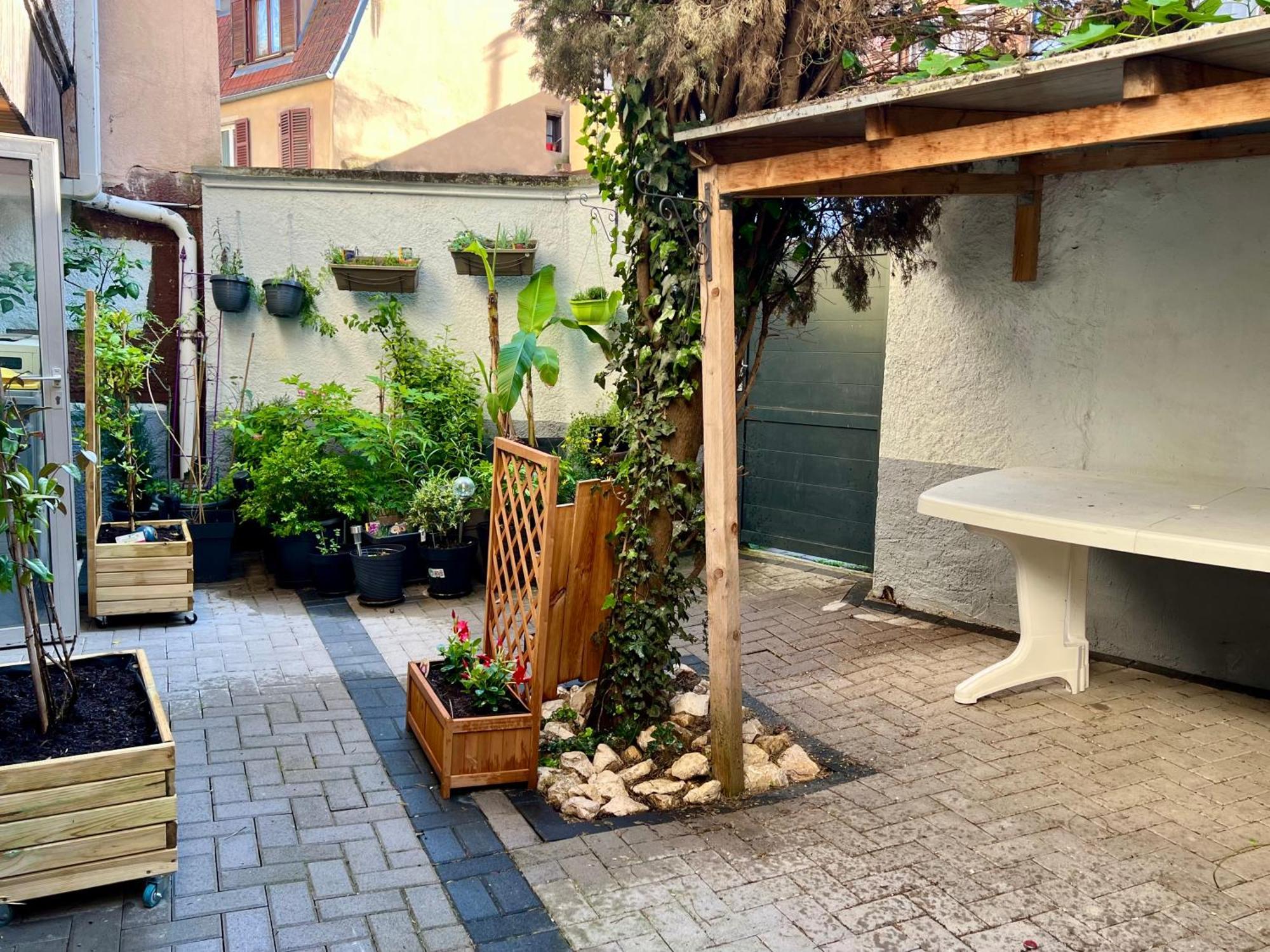 Gite Du Figuier 4 A 6 Personnes Selestat Centre-Alsace Exterior foto