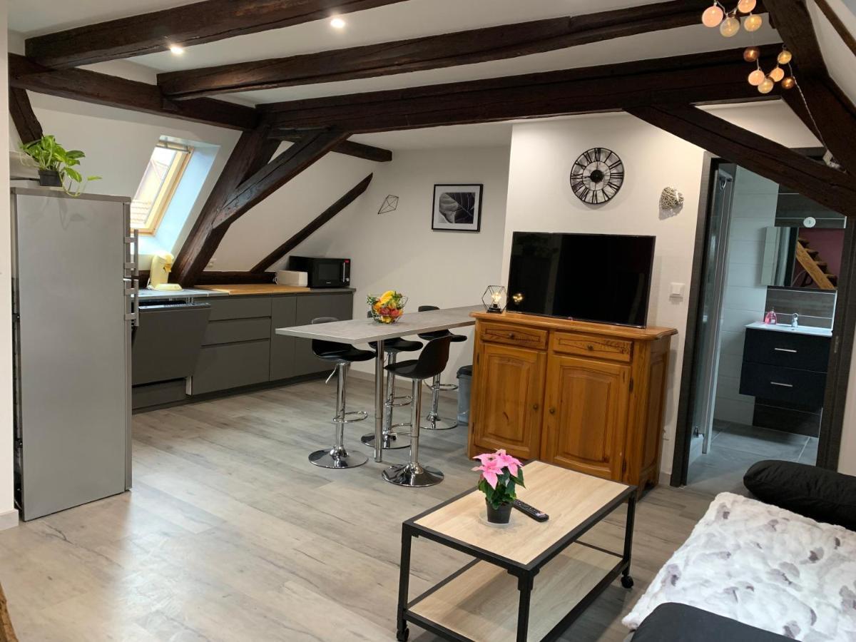 Gite Du Figuier 4 A 6 Personnes Selestat Centre-Alsace Exterior foto